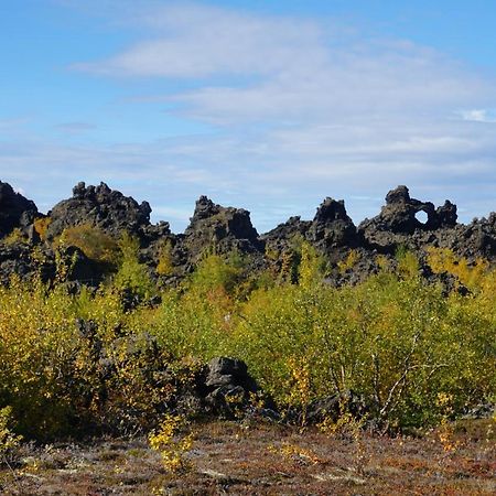 Slow Travel Myvatn - Þufa - Private Homestay エクステリア 写真